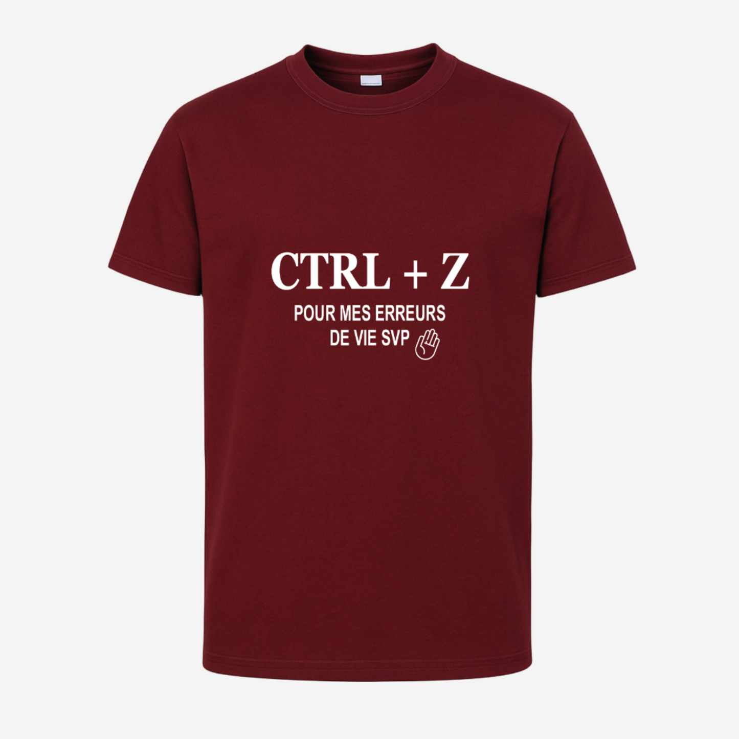 "Ctrl + Z pour mes erreurs de vie svp"