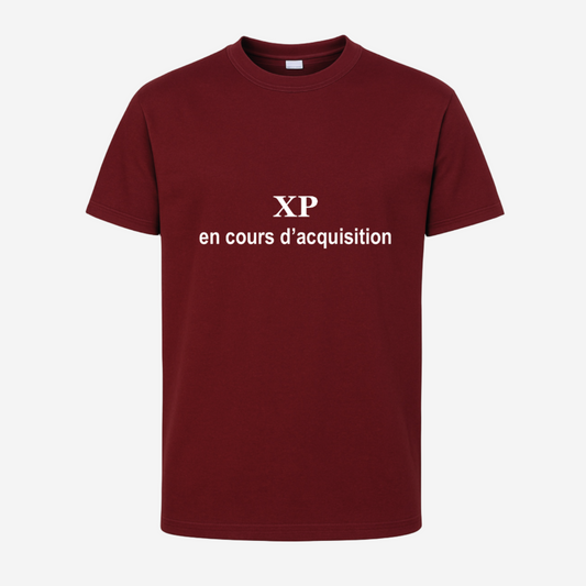 "XP en cours d'acquisition"