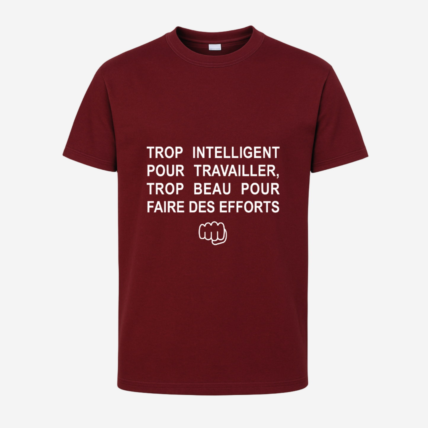 "Trop intelligent pour travailler, trop beau pour faire des efforts"
