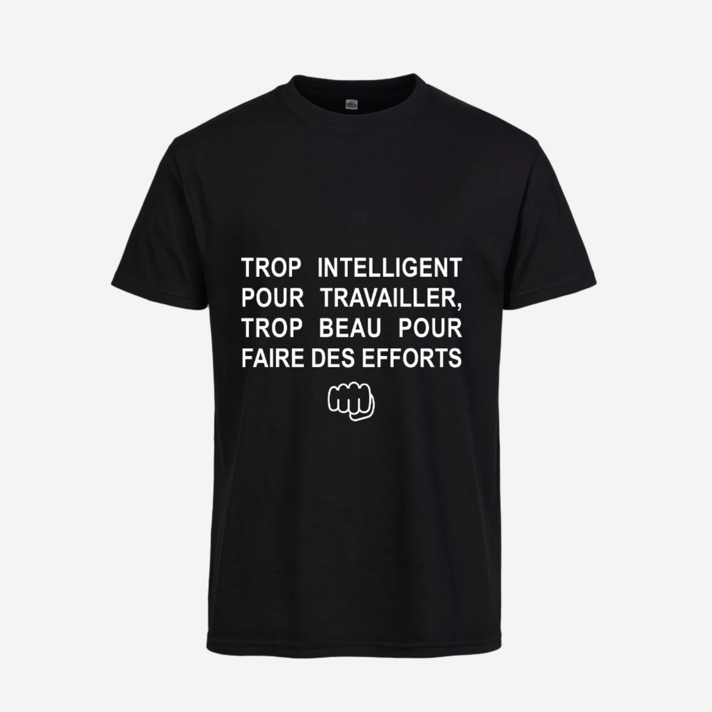 "Trop intelligent pour travailler, trop beau pour faire des efforts"